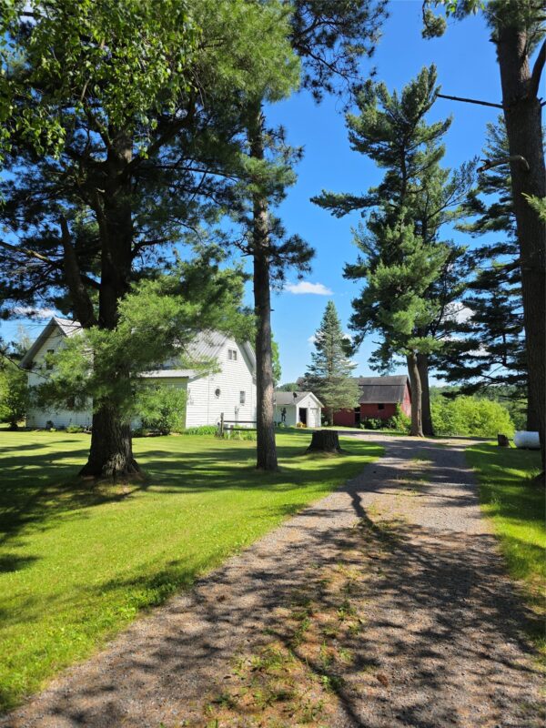 14101 County Road B, Fairchild WI 54741 - Residential house for sale - MLS #1602528 - image33