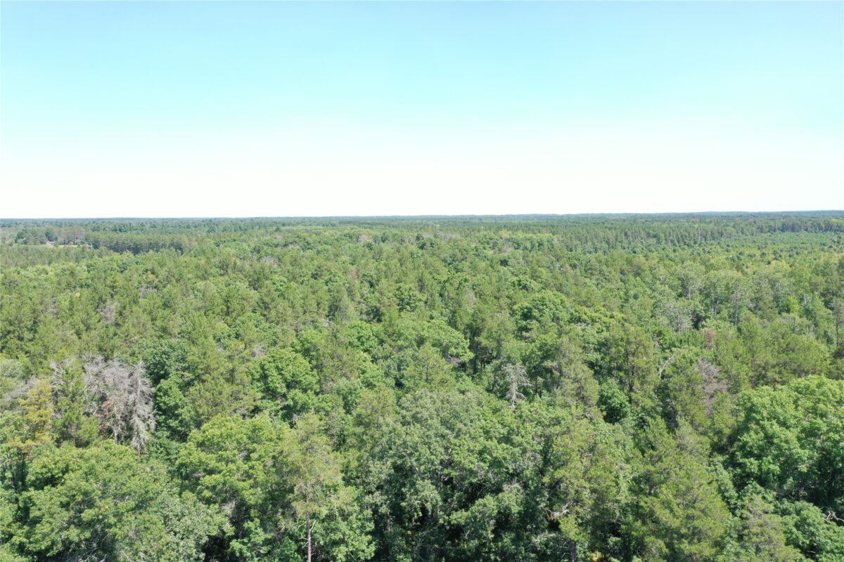 14688 Oeltjen Road, Grantsburg WI 54840 - Residential house for sale - MLS #1604067 - image3