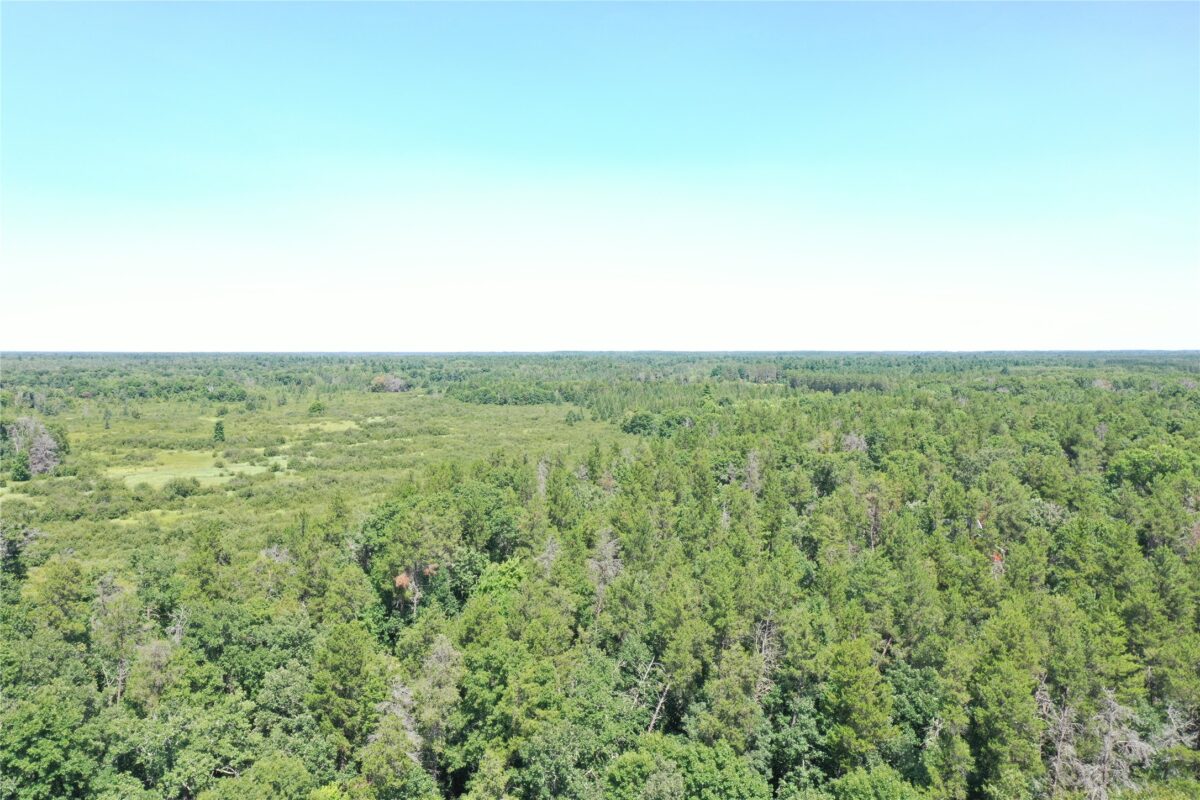 14688 Oeltjen Road, Grantsburg WI 54840 - Residential house for sale - MLS #1604067 - image4