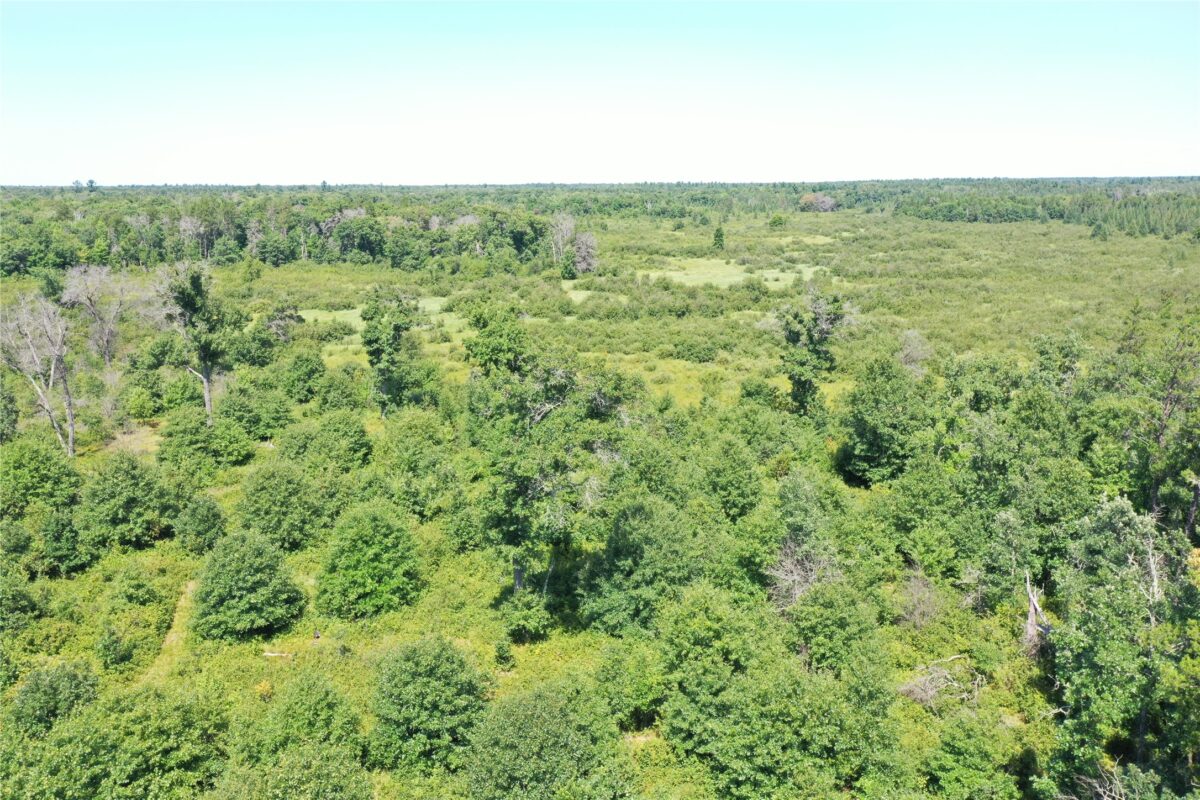 14688 Oeltjen Road, Grantsburg WI 54840 - Residential house for sale - MLS #1604067 - image9