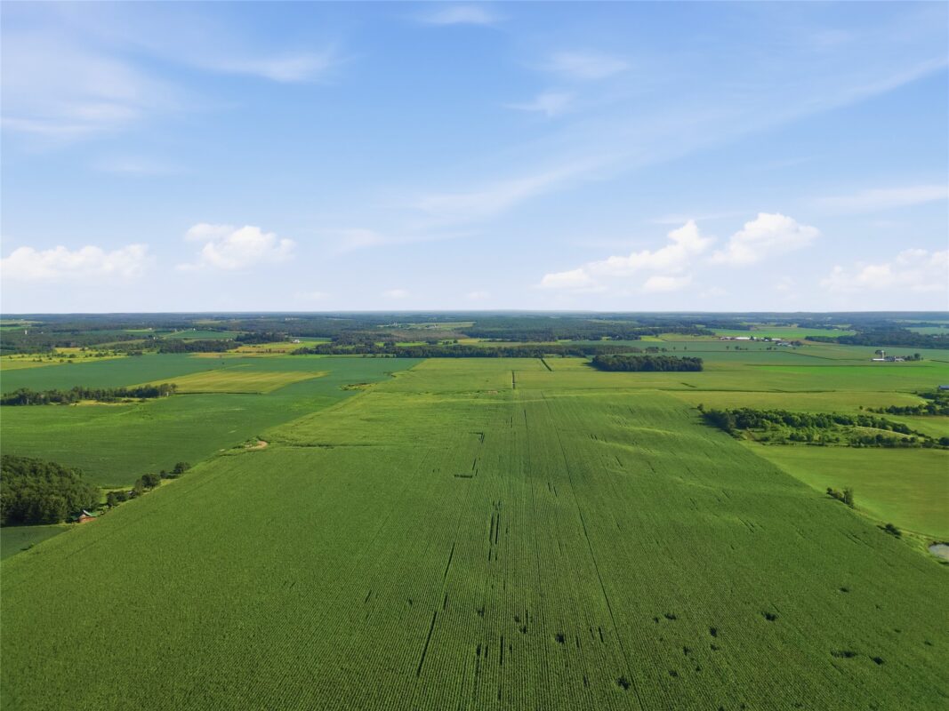 19280 110th Street, Bloomer WI 54724 - Land house for sale - MLS #1603941 - image13