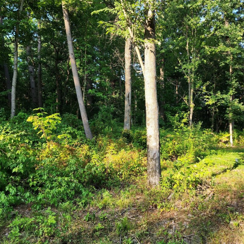 1956 16th Avenue, Cameron WI 54822 - Residential house for sale - MLS #1603982 - image22
