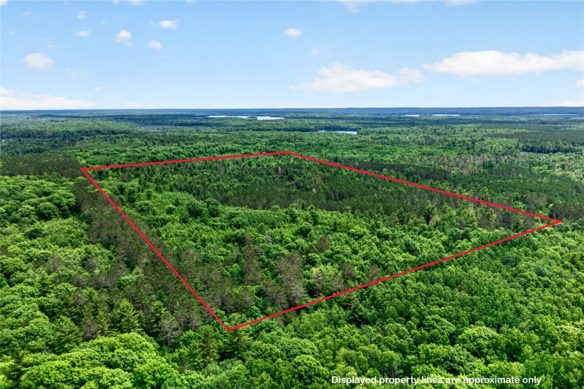 19720 Pioneer Road, Cable WI 54821 - Residential house for sale - MLS #1602731 - image3