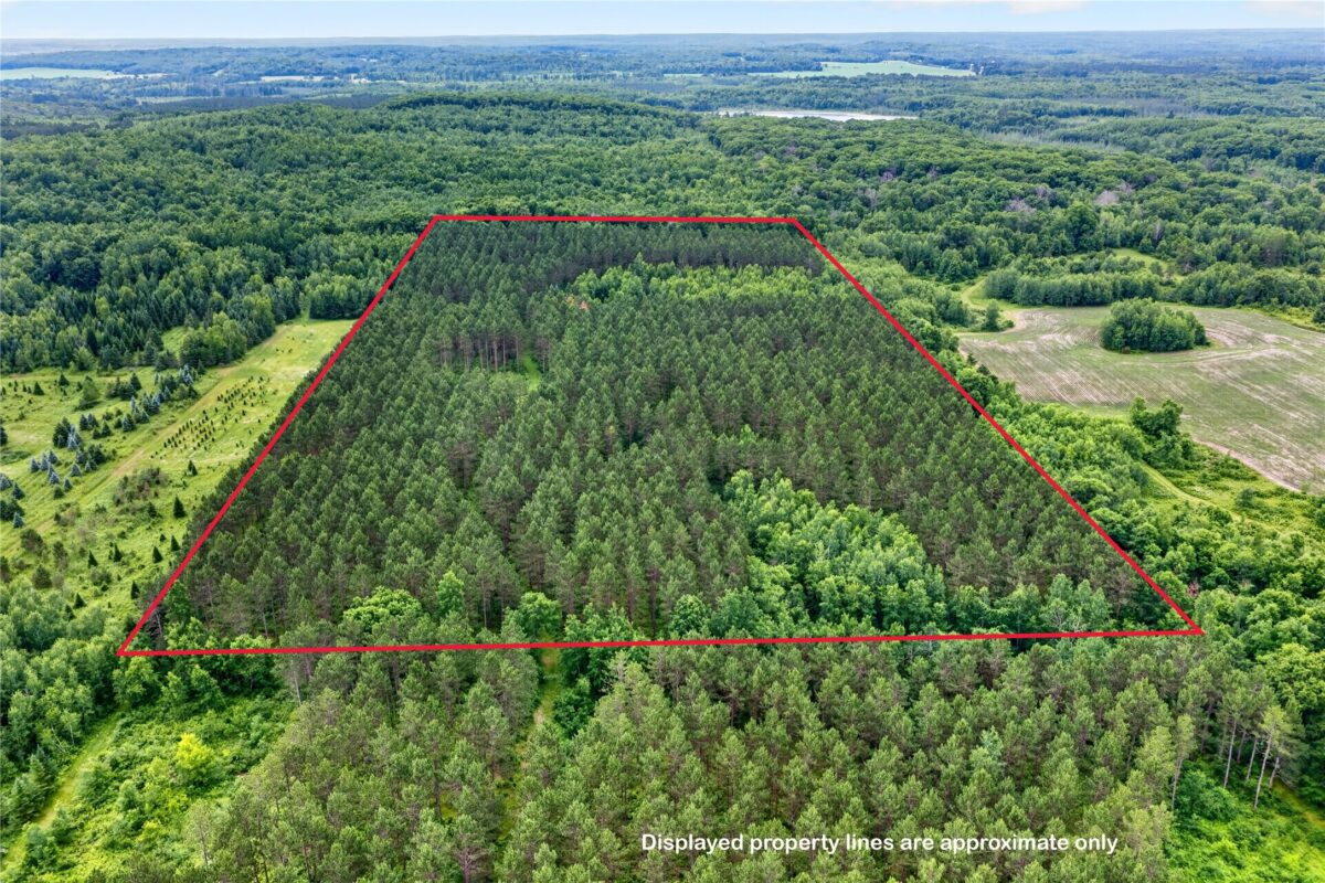 20 Acres 5th Avenue, Trego WI 54888 - Land house for sale - MLS #1602779 - image11