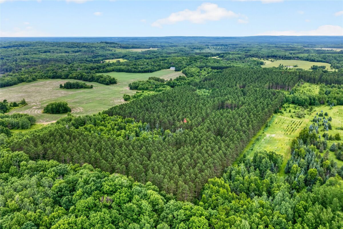 20 Acres 5th Avenue, Trego WI 54888 - Land house for sale - MLS #1602779 - image12