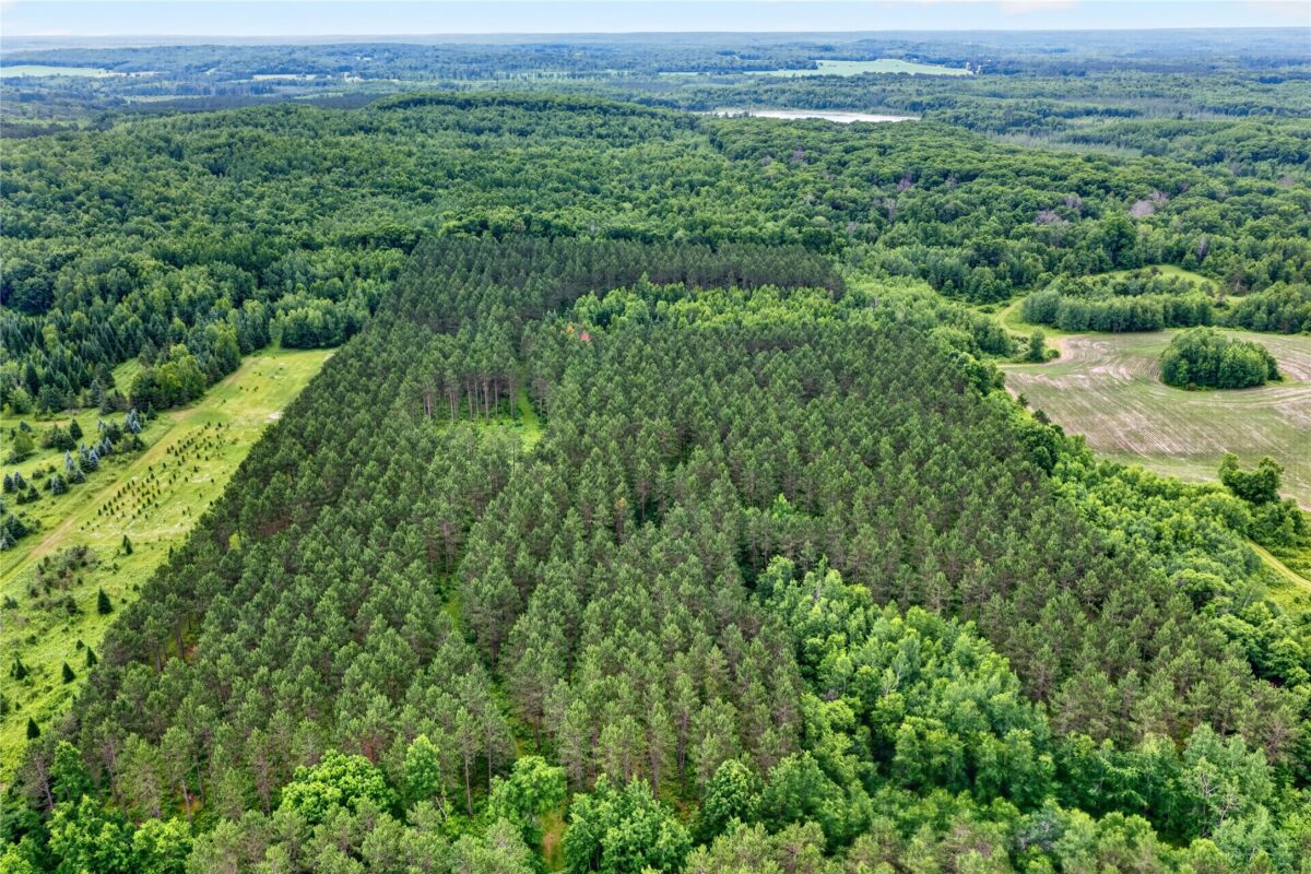 20 Acres 5th Avenue, Trego WI 54888 - Land house for sale - MLS #1602779 - image13