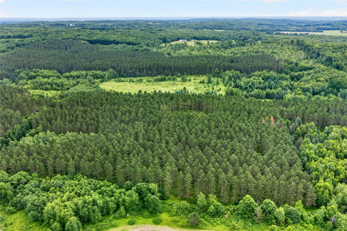 20 Acres 5th Avenue, Trego WI 54888 - Land house for sale - MLS #1602779 - image8