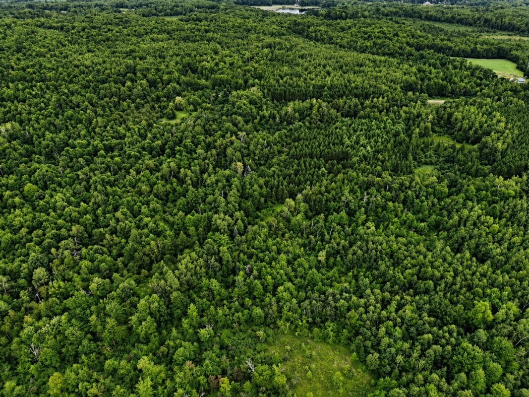 20 Acres Adams Road, Bruce WI 54819 - Land house for sale - MLS #1602683 - image2