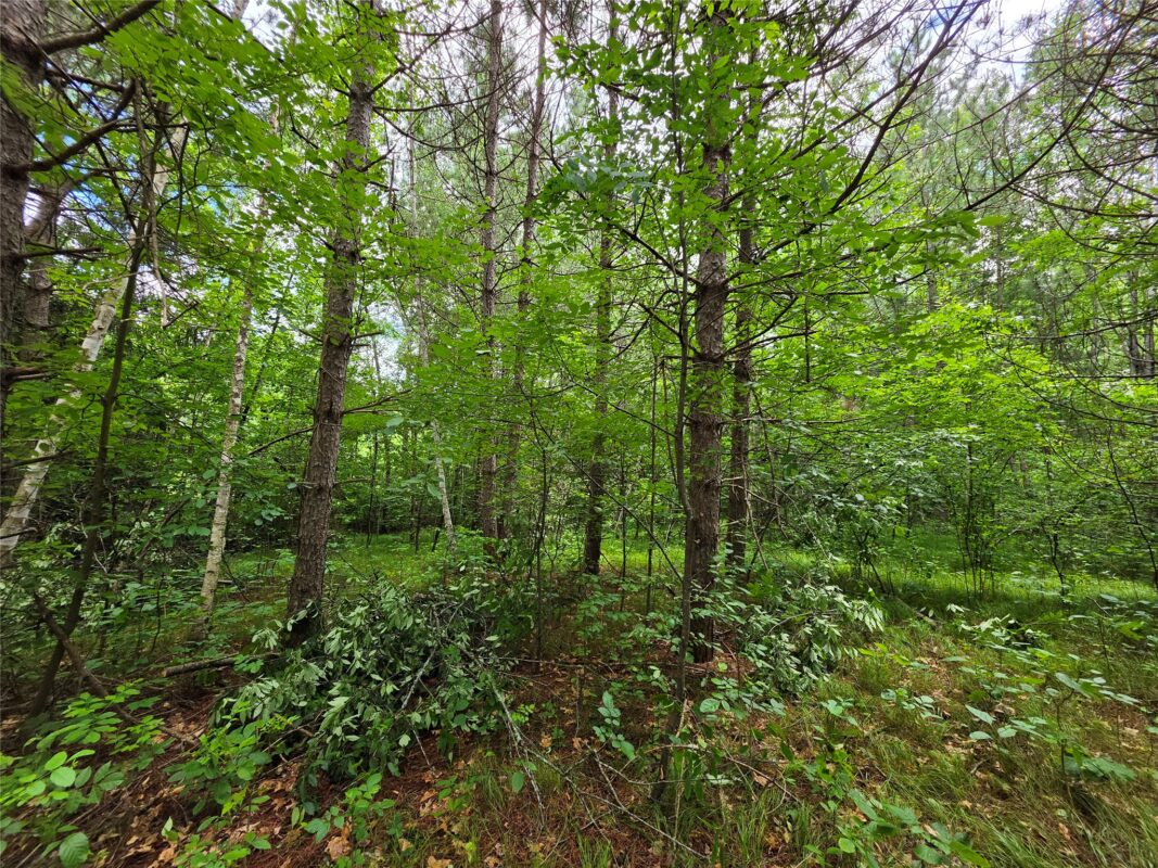 20 Acres Adams Road, Bruce WI 54819 - Land house for sale - MLS #1602683 - image13
