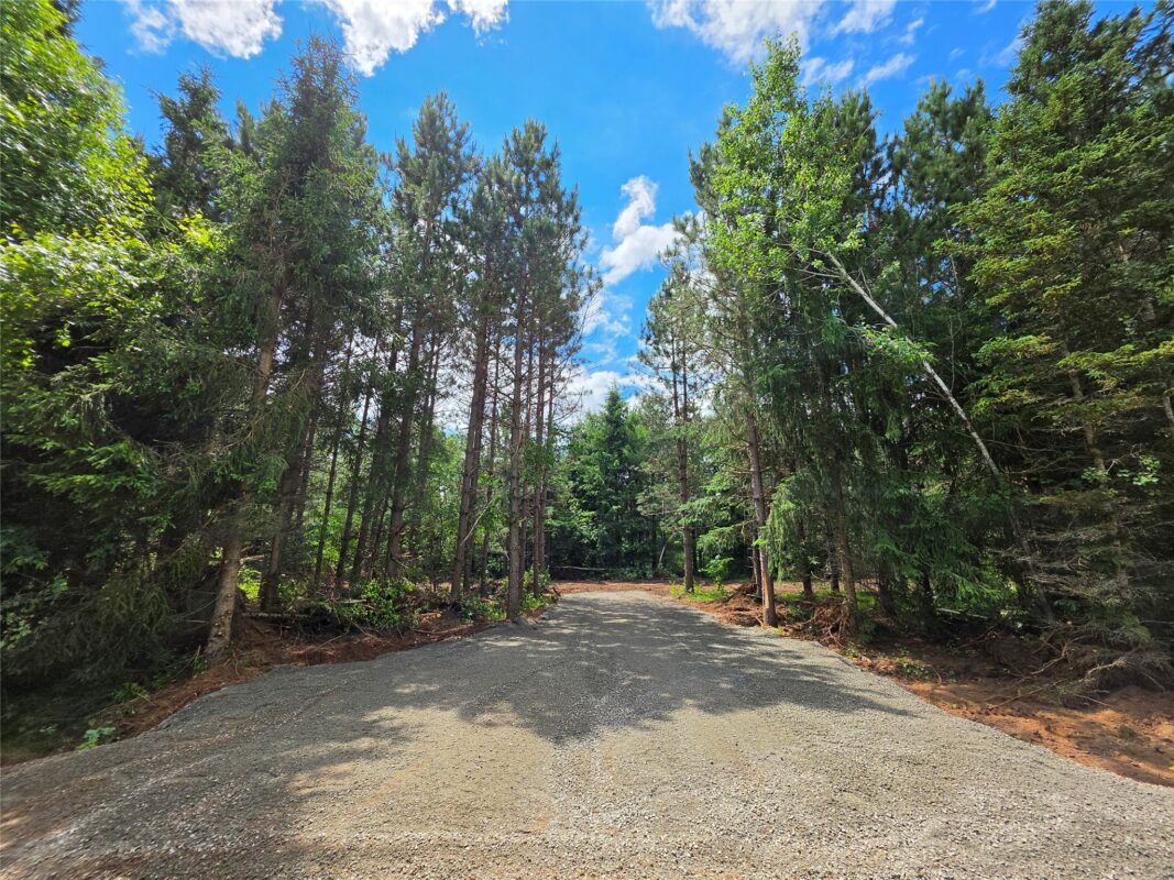 20 Acres Adams Road, Bruce WI 54819 - Land house for sale - MLS #1602683 - image3