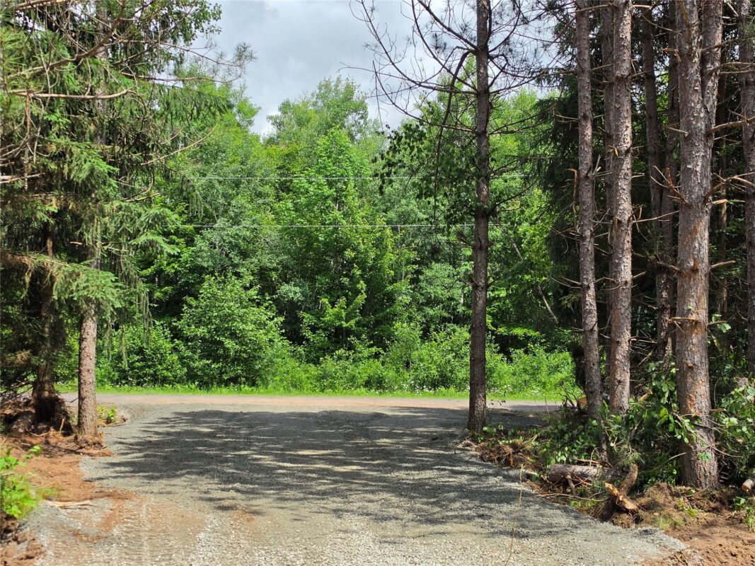 20 Acres Adams Road, Bruce WI 54819 - Land house for sale - MLS #1602683 - image4