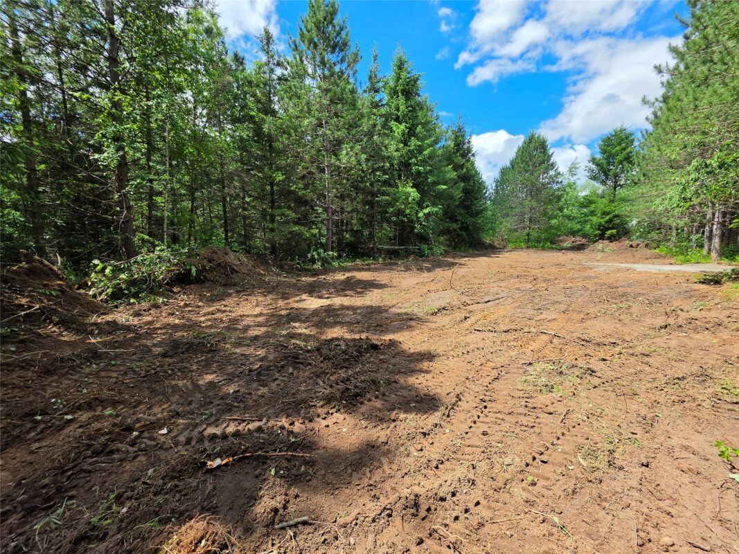 20 Acres Adams Road, Bruce WI 54819 - Land house for sale - MLS #1602683 - image5
