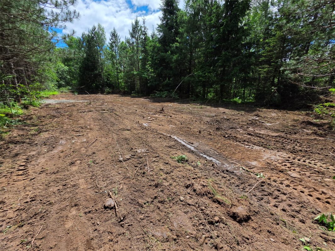 20 Acres Adams Road, Bruce WI 54819 - Land house for sale - MLS #1602683 - image6