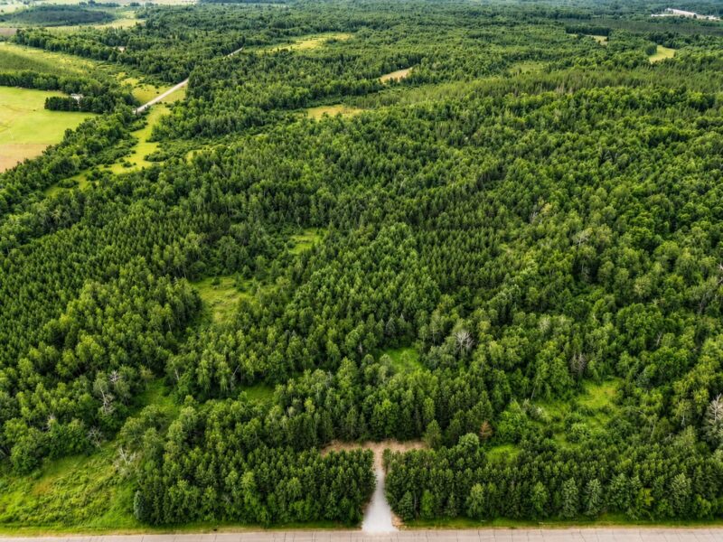 20 Acres Adams Road
