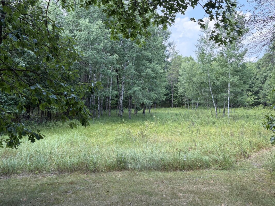 20654 Bucktail Drive, Grantsburg WI 54840 - Residential house for sale - MLS #1603790 - image37