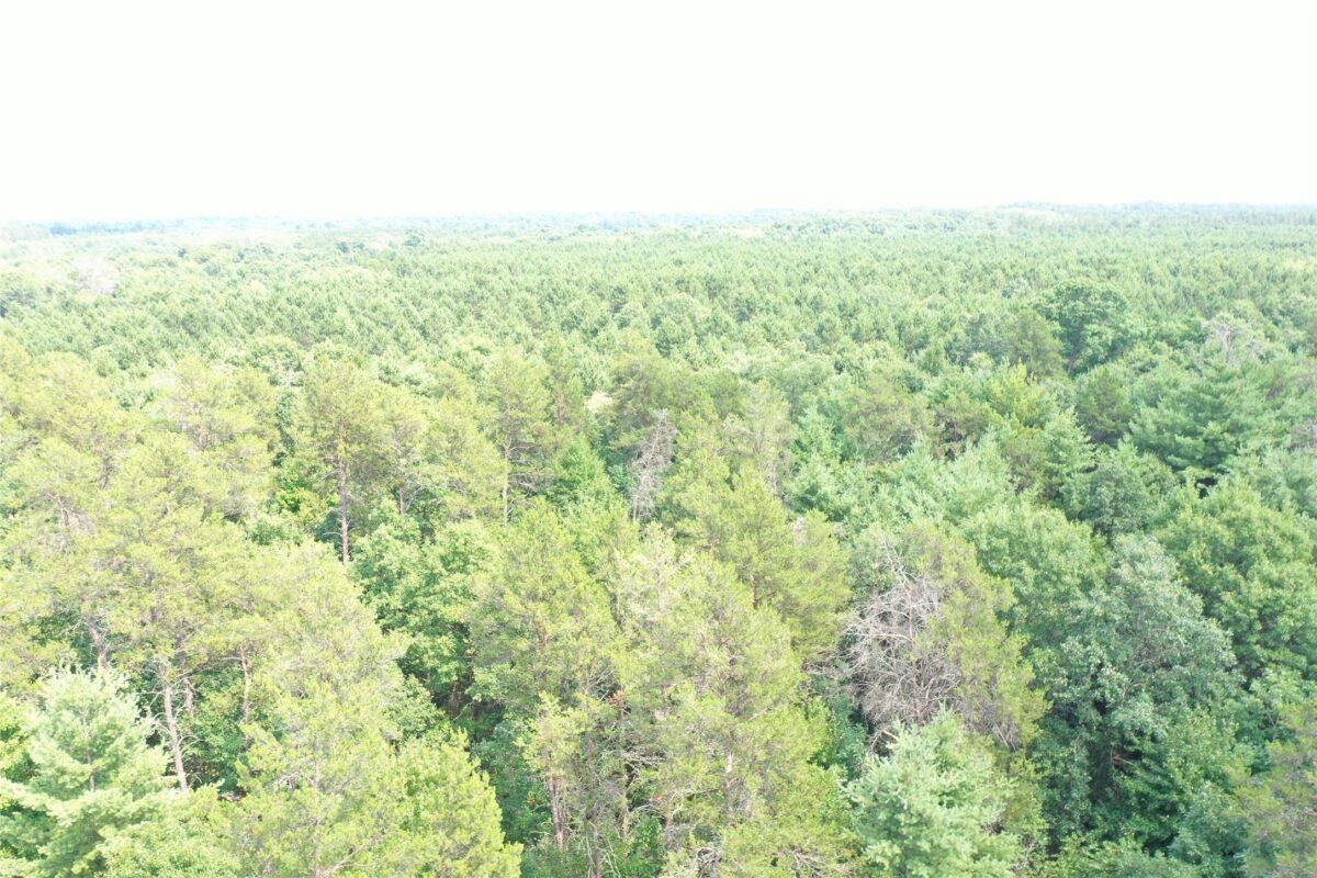 20654 Bucktail Drive, Grantsburg WI 54840 - Residential house for sale - MLS #1603790 - image45