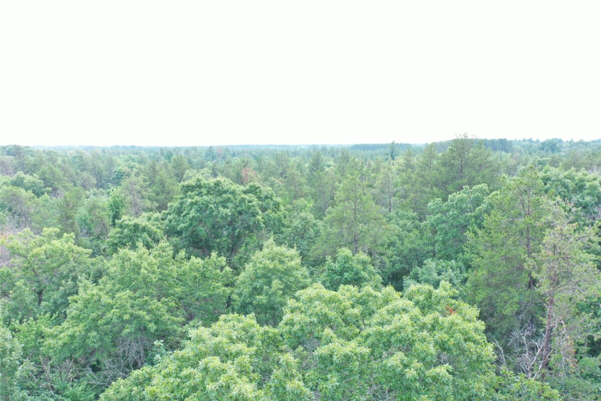 20654 Bucktail Drive, Grantsburg WI 54840 - Residential house for sale - MLS #1603790 - image47