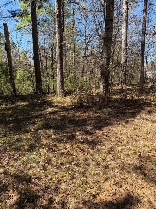 2395 Island Lake Road, Barnes WI 54873 - Land house for sale - MLS #1601454 - image11
