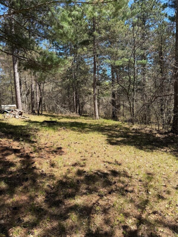 2395 Island Lake Road, Barnes WI 54873 - Land house for sale - MLS #1601454 - image12