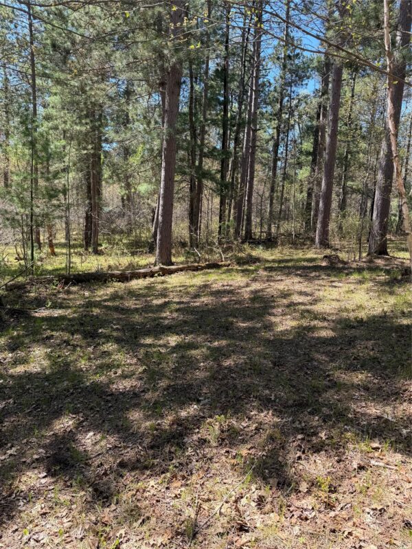 2395 Island Lake Road, Barnes WI 54873 - Land house for sale - MLS #1601454 - image14
