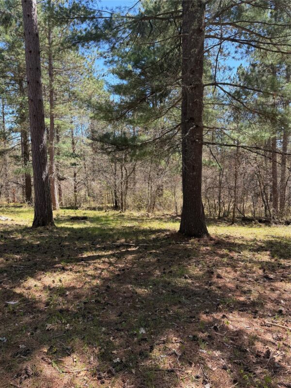 2395 Island Lake Road, Barnes WI 54873 - Land house for sale - MLS #1601454 - image8