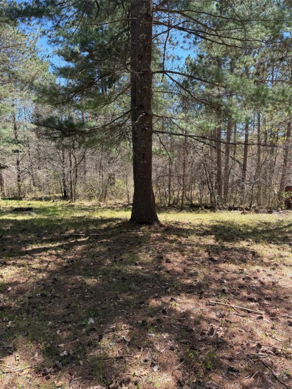 2395 Island Lake Road, Barnes WI 54873 - Land house for sale - MLS #1601454 - image9