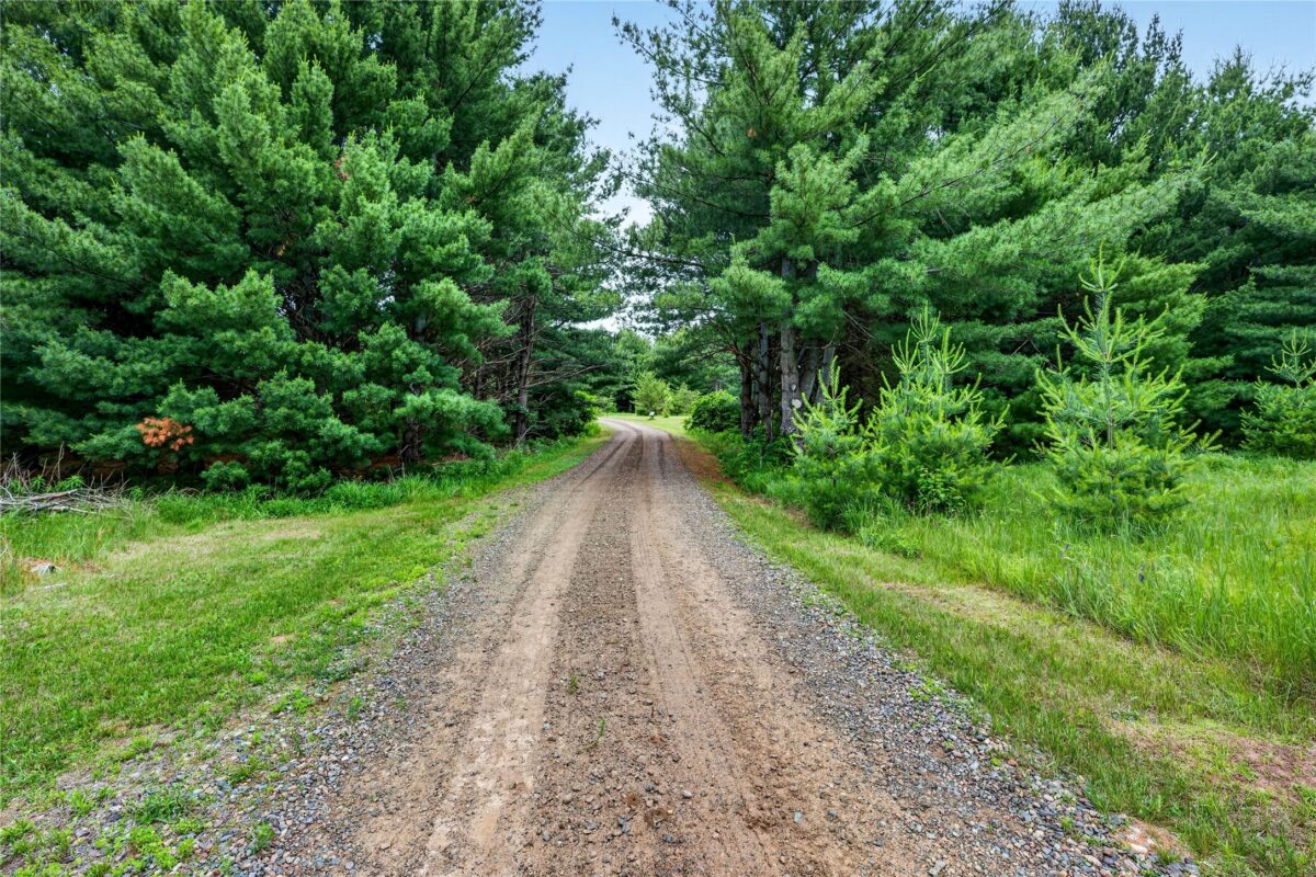 24565 Windorski Road, Webster WI 54893 - Residential house for sale - MLS #1602453 - image3