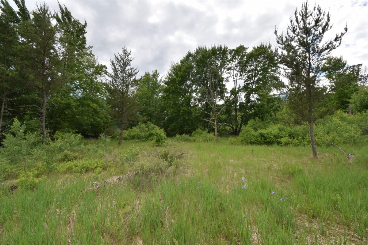 25385 Spaulding Road, Grantsburg WI 54840 - Land house for sale - MLS #1602394 - image4