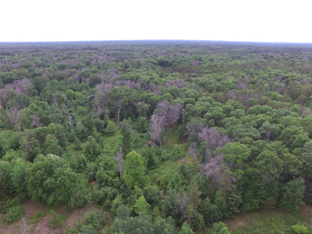 25385 Spaulding Road, Grantsburg WI 54840 - Land house for sale - MLS #1602394 - image5