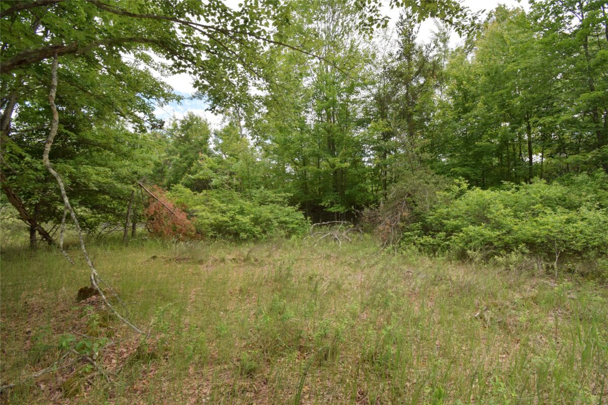 25385 Spaulding Road, Grantsburg WI 54840 - Land house for sale - MLS #1602394 - image7