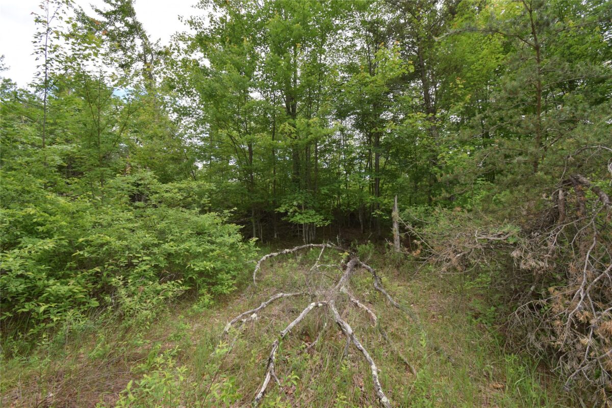 25385 Spaulding Road, Grantsburg WI 54840 - Land house for sale - MLS #1602394 - image8