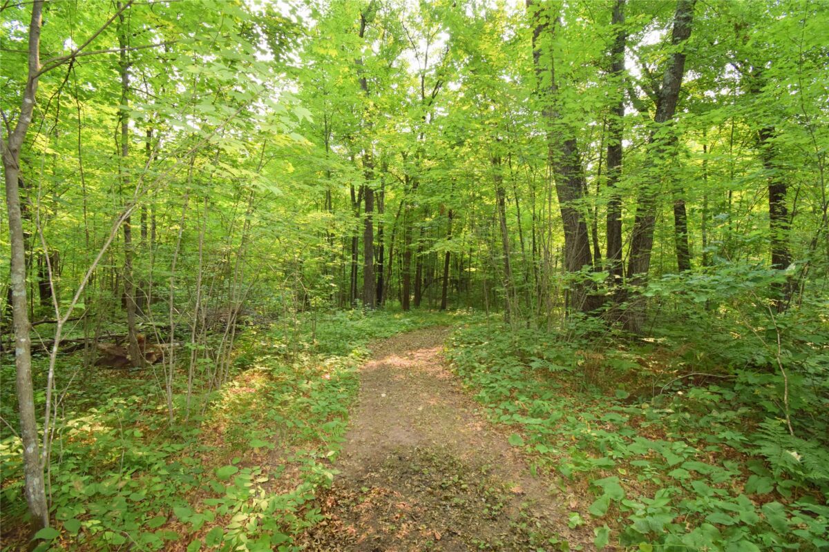 25707 Smith Road, Webster WI 54893 - Residential house for sale - MLS #1604112 - image7