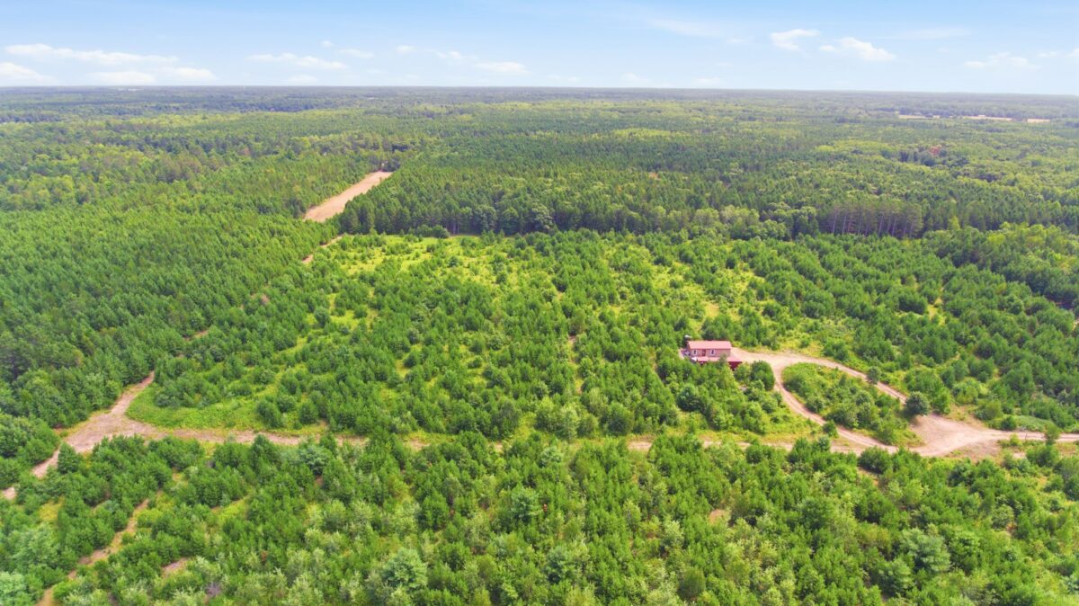 26162 Ashtons Trail, Webster WI 54893 - Residential house for sale - MLS #1604100 - image30