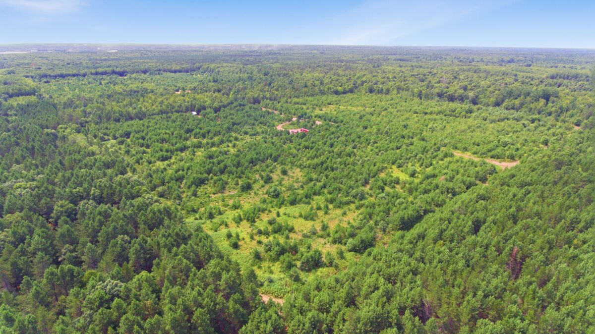 26162 Ashtons Trail, Webster WI 54893 - Residential house for sale - MLS #1604100 - image32