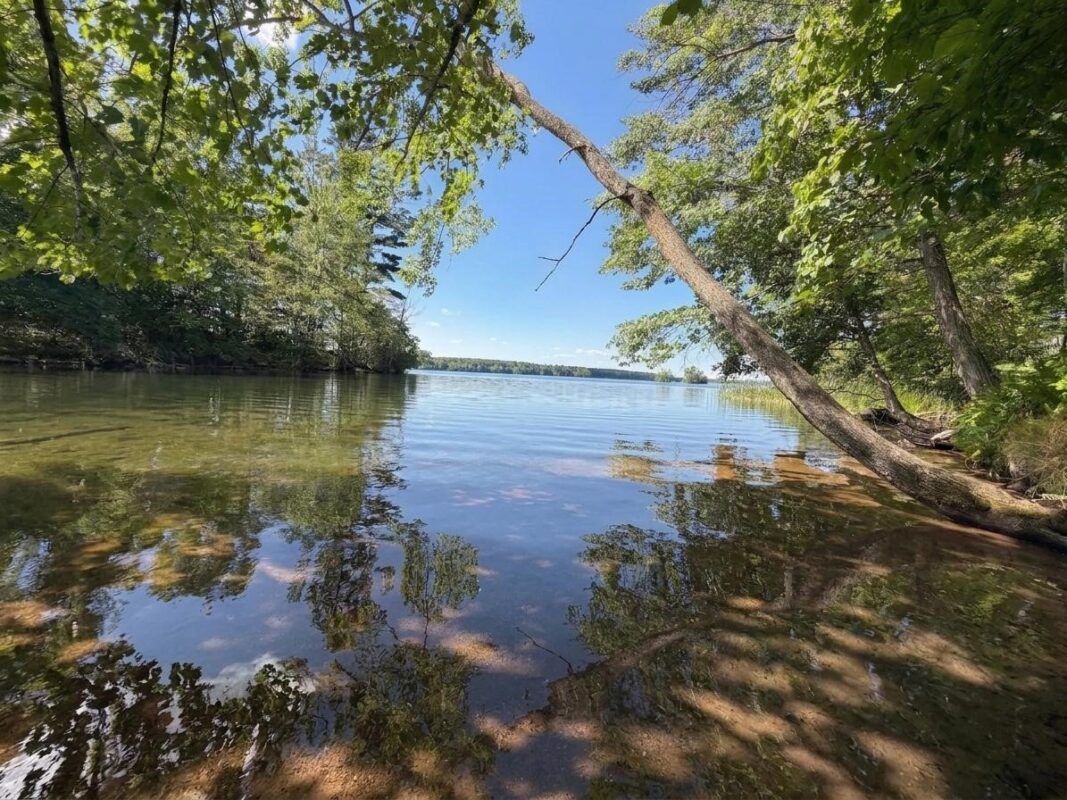 2.74 acres 28 1/4 Street, Birchwood WI 54817 - Land house for sale - MLS #1603983 - image2