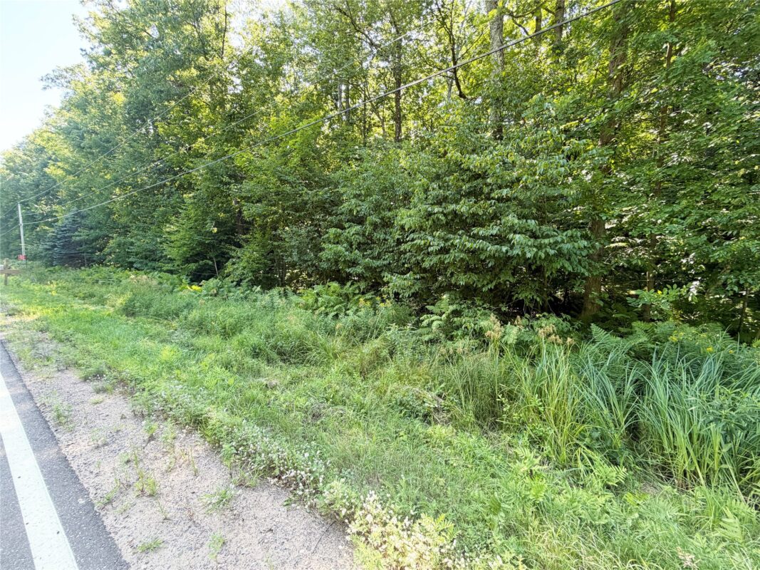 2.74 acres 28 1/4 Street, Birchwood WI 54817 - Land house for sale - MLS #1603983 - image11