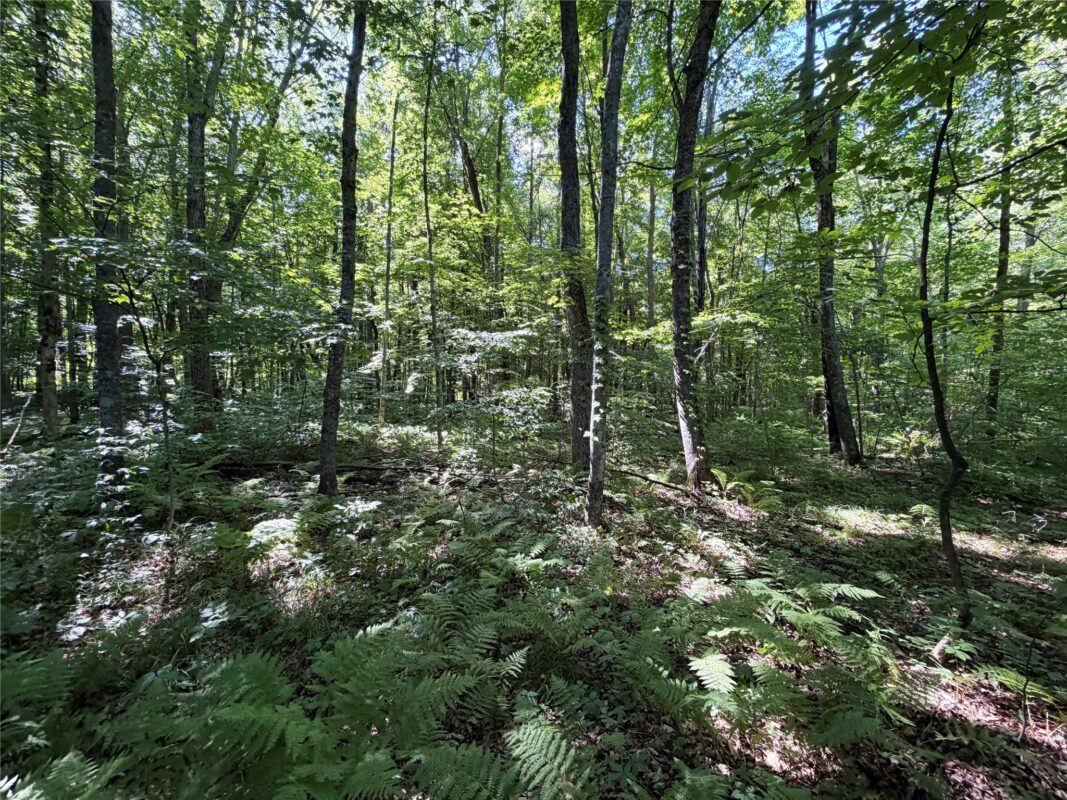 2.74 acres 28 1/4 Street, Birchwood WI 54817 - Land house for sale - MLS #1603983 - image12