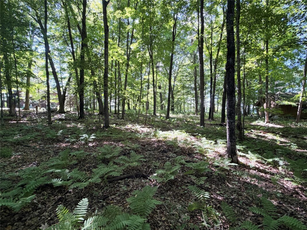 2.74 acres 28 1/4 Street, Birchwood WI 54817 - Land house for sale - MLS #1603983 - image13