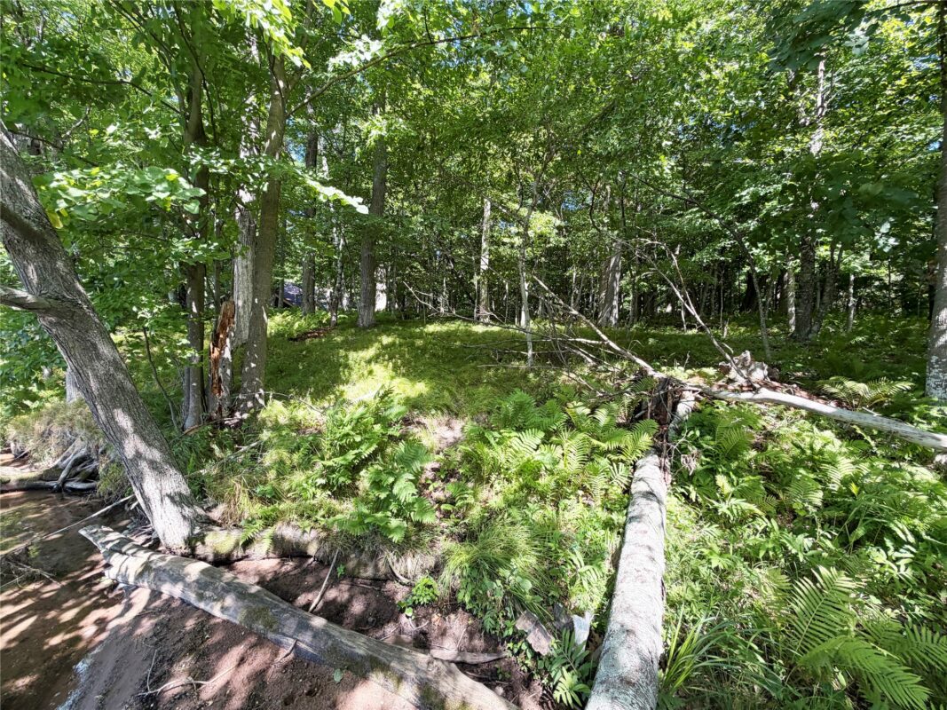 2.74 acres 28 1/4 Street, Birchwood WI 54817 - Land house for sale - MLS #1603983 - image15