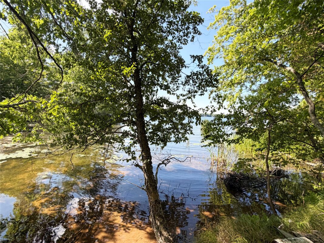 2.74 acres 28 1/4 Street, Birchwood WI 54817 - Land house for sale - MLS #1603983 - image6