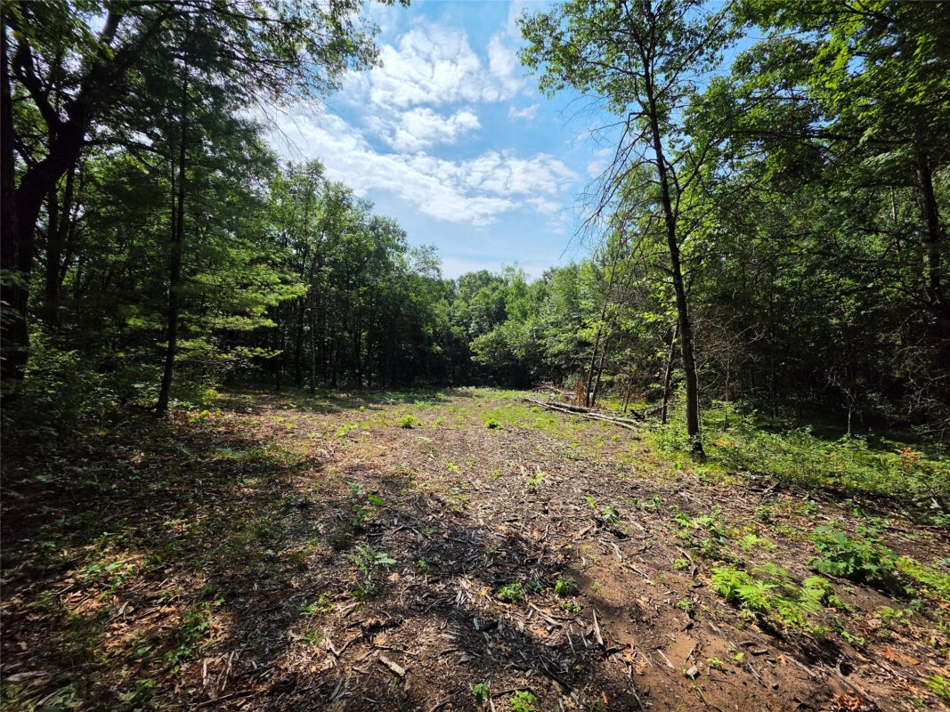 27687 295th Avenue, Holcombe WI 54745 - Land house for sale - MLS #1603802 - image2