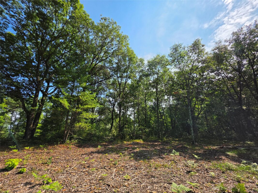 27687 295th Avenue, Holcombe WI 54745 - Land house for sale - MLS #1603802 - image3