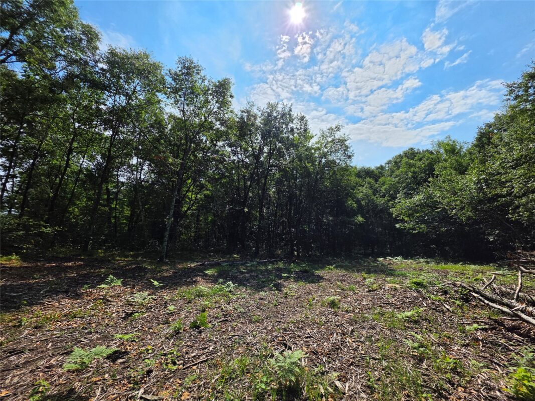 27687 295th Avenue, Holcombe WI 54745 - Land house for sale - MLS #1603802 - image4