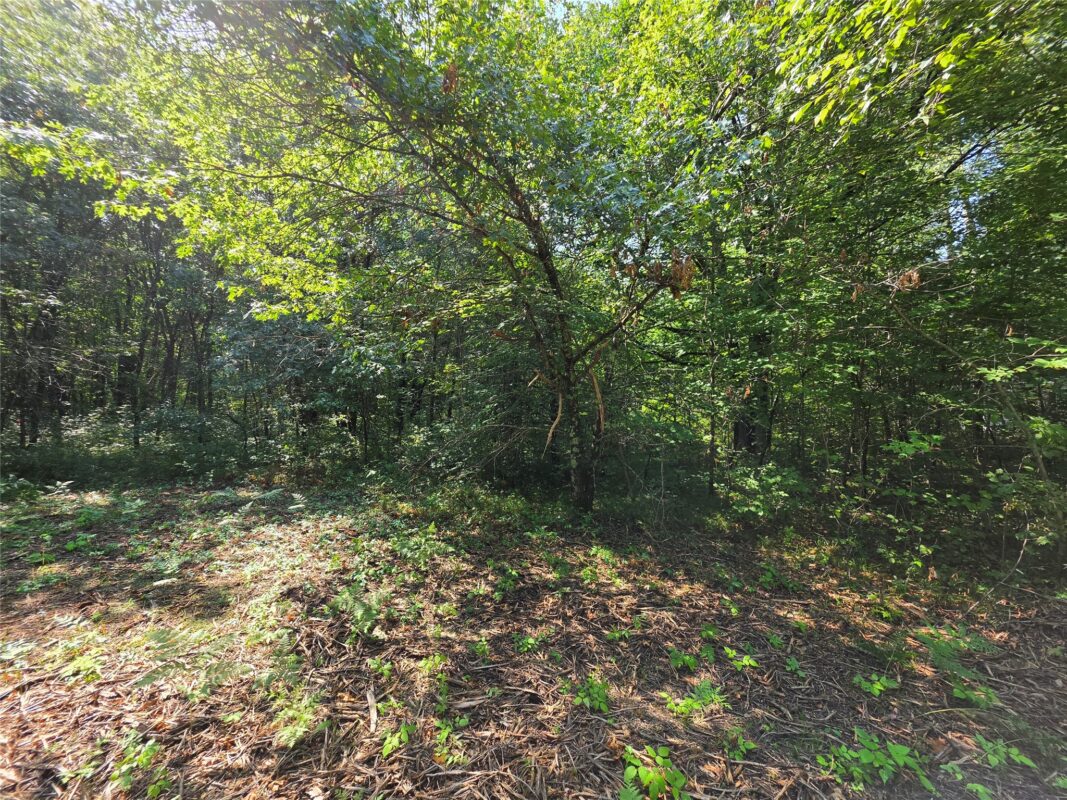 27687 295th Avenue, Holcombe WI 54745 - Land house for sale - MLS #1603802 - image5