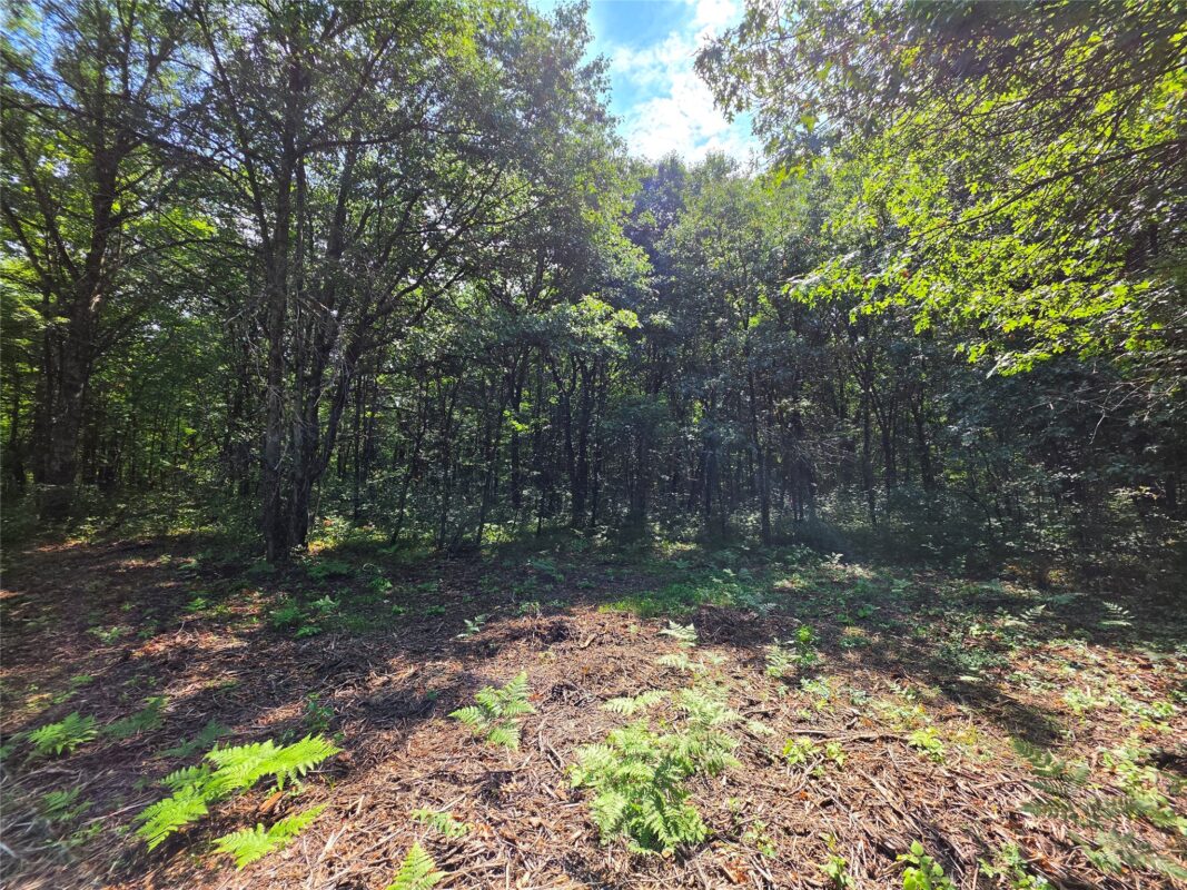 27687 295th Avenue, Holcombe WI 54745 - Land house for sale - MLS #1603802 - image6