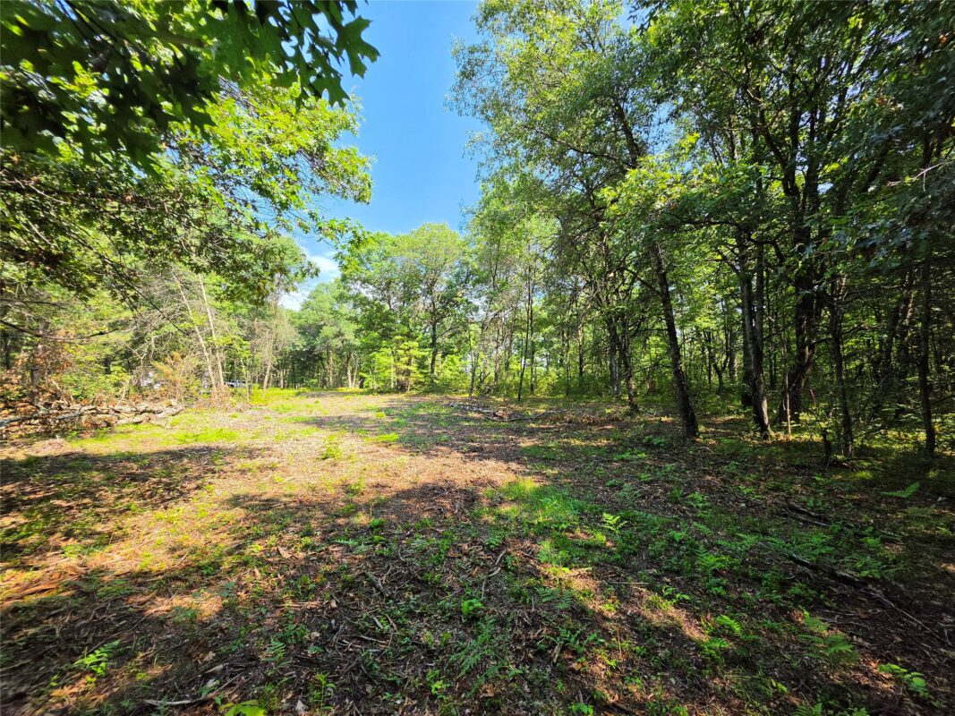 27687 295th Avenue, Holcombe WI 54745 - Land house for sale - MLS #1603802 - image7