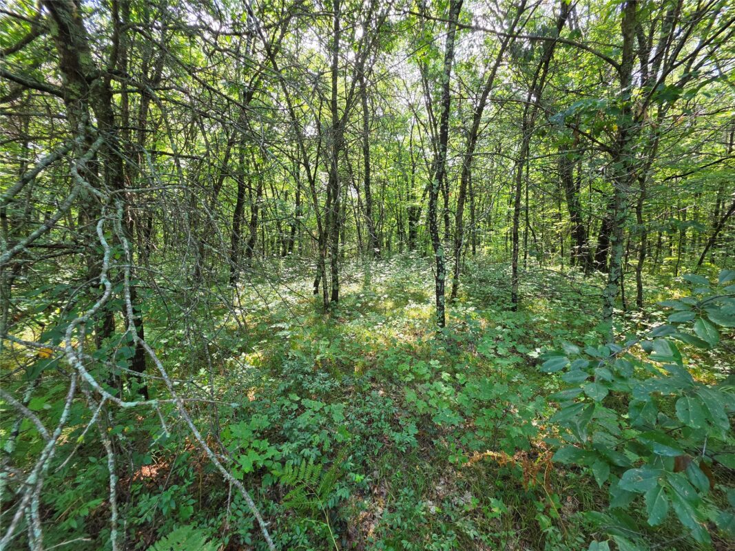 27687 295th Avenue, Holcombe WI 54745 - Land house for sale - MLS #1603802 - image8