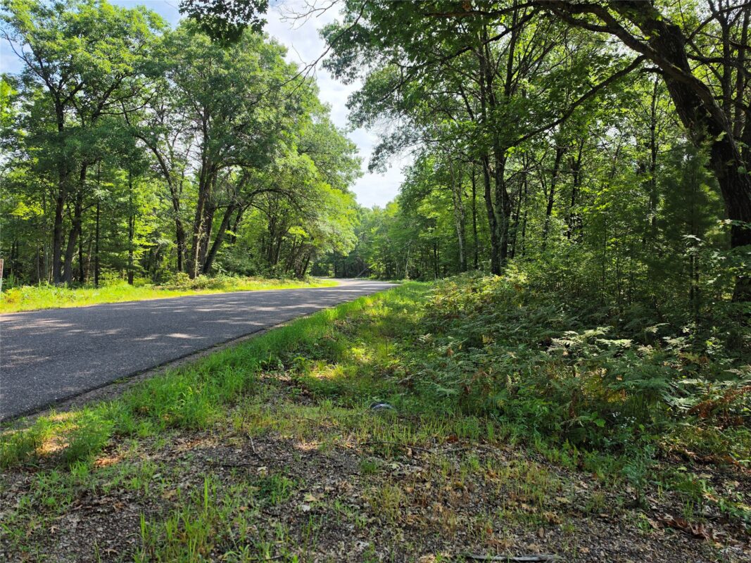 27687 295th Avenue, Holcombe WI 54745 - Land house for sale - MLS #1603802 - image9