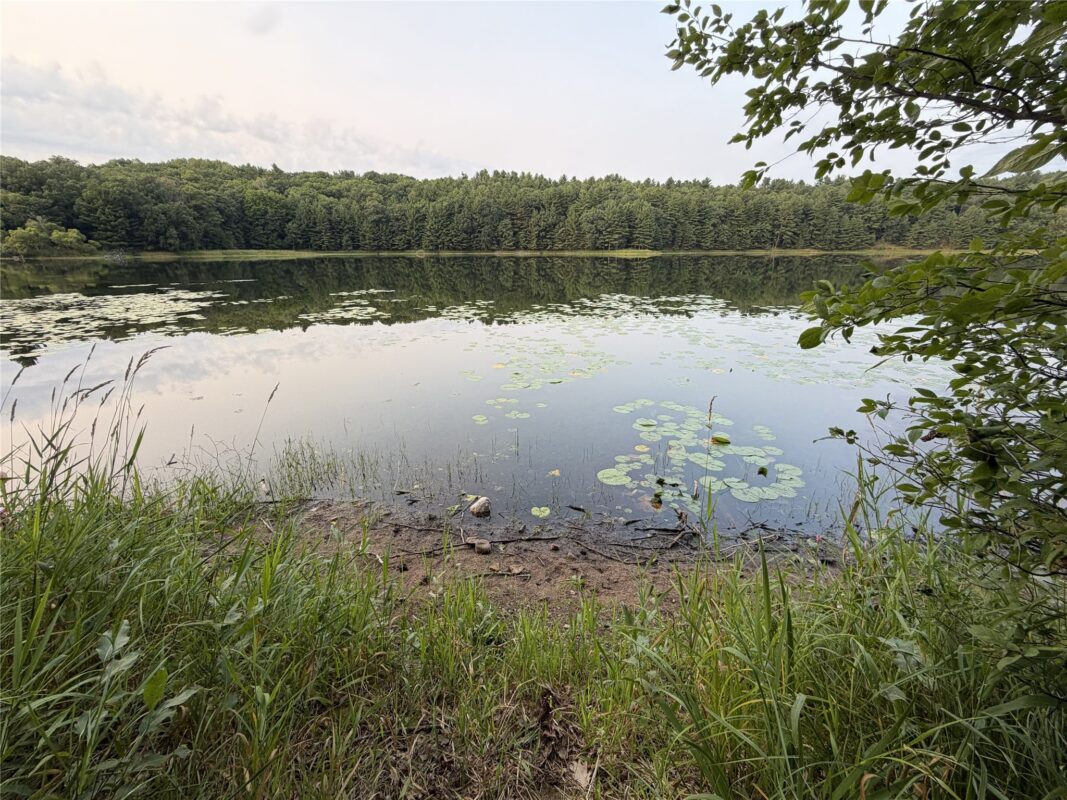 296 26 1/8 Avenue, Cumberland WI 54829 - Land house for sale - MLS #1604064 - image23