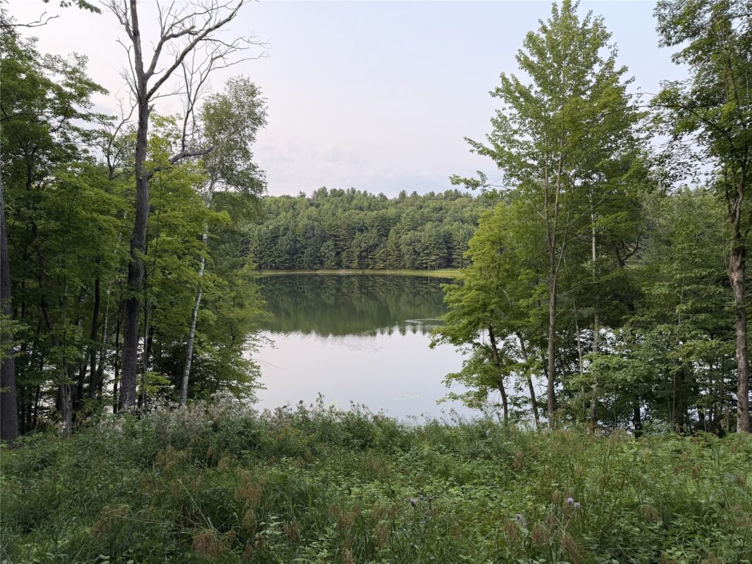 296 26 1/8 Avenue, Cumberland WI 54829 - Land house for sale - MLS #1604064 - image26